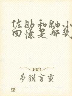 佐助和鼬小时候回忆是哪几集