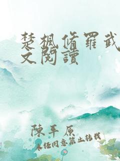 楚枫修罗武神全文阅读