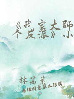 《我家大师兄是个反派》小说