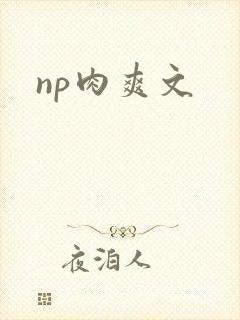 np肉爽文