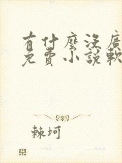 有什么没广告的免费小说软件