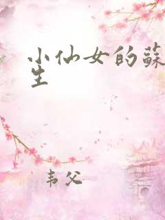 小仙女的苏撩先生