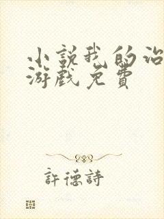 小说我的治愈系游戏免费