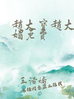 赵大宝赵大勇苏媚免费