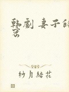 韩剧 妻子的秘密