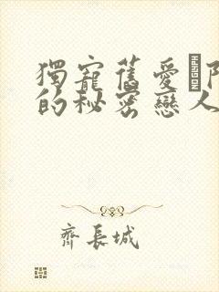 独宠旧爱·陆少的秘密恋人》