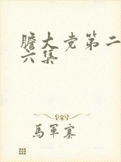 胆大党第二季第六集