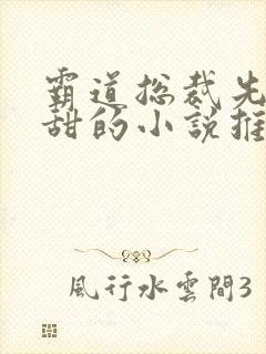 霸道总裁先虐后甜的小说推荐