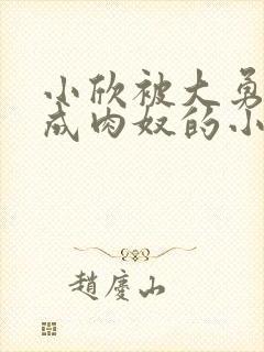 小欣被大勇调教成肉奴的小说叫什么