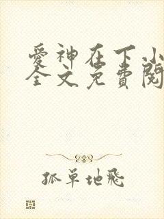 爱神在下小橘狗全文免费阅读