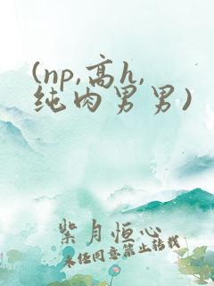 (np,高h,纯肉男男)