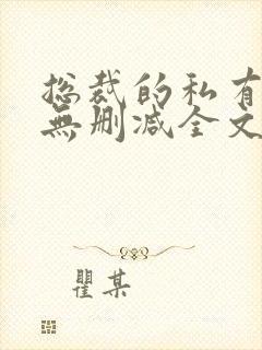 总裁的私有宝贝无删减全文免费