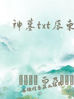 神墓txt辰东