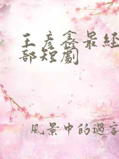 王彦鑫最经典十部短剧