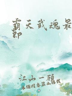 霸天武魂最新章节