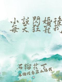 小说闪婚后大叔每天狂宠我免费阅读