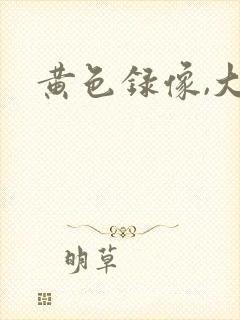黄色录像,大片