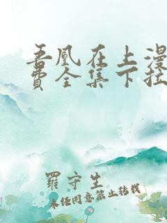 吾凰在上漫画免费全集下拉式漫画