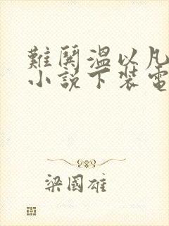 难哄温以凡桑延小说下装电子书