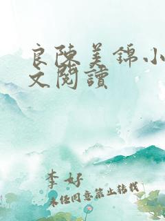 良陈美锦小说全文阅读