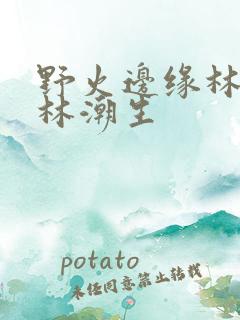 野火边缘林晚晚林潮生