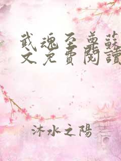 武魂至尊苏莫全文免费阅读
