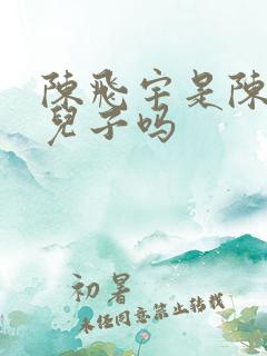 陈飞宇是陈凯歌儿子吗