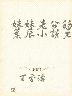 妹妹老公的秘密叶辰小说免费阅读