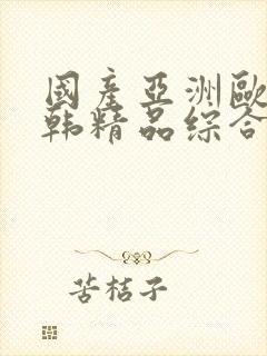 国产亚洲欧美日韩精品综合在线