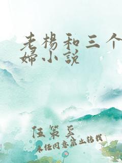 老杨和三个儿媳妇小说