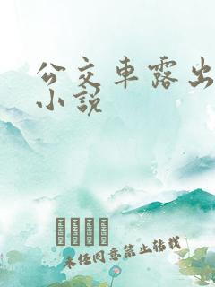 公交车露出调教小说