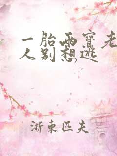 一胎两宝老婆大人别想逃