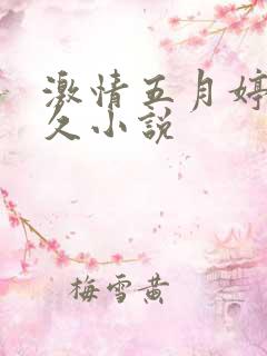 激情五月婷婷久久小说