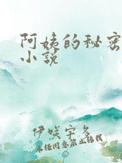 阿姨的秘密情事小说