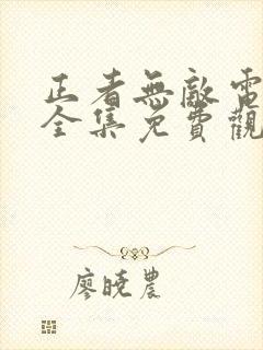 正者无敌电视剧全集免费观看