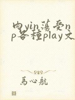 肉yin荡受np各种play文
