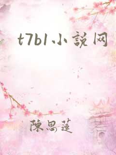 t7b1小说网