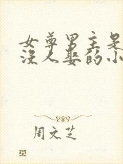 女尊男主是将军没人娶的小说
