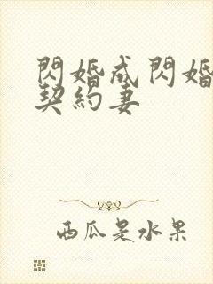 闪婚成闪婚总裁契约妻