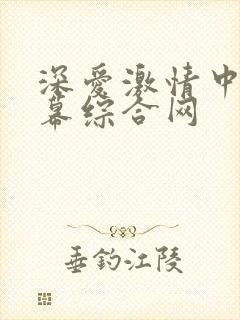 深爱激情中文字幕综合网