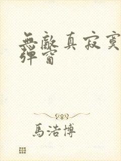 无敌真寂寞 无弹窗