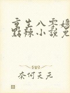 重生八零媳妇有点辣小说免费阅读