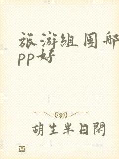 旅游组团哪个app好