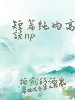 短篇纯肉高h小说np