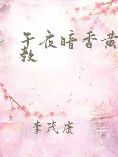 午夜暗香黄金调教