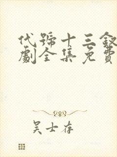代号十三钗电视剧全集免费