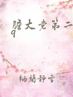 胆大党第二季09