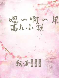 嗯～啊～用力～高h小说