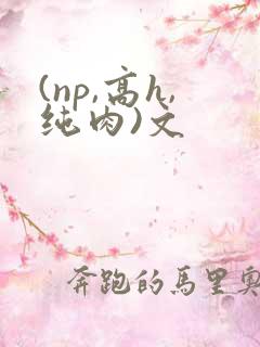 (np,高h,纯肉)文