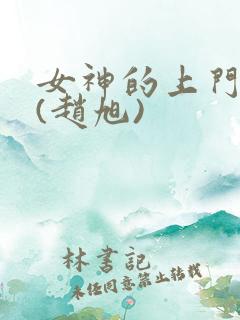 女神的上门贵婿(赵旭)